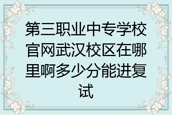 第三职业中专学校官网武汉校区在哪里啊多少分能进复试