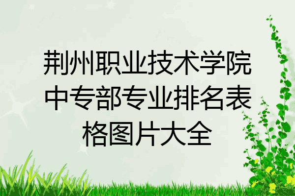 荆州职业技术学院中专部专业排名表格图片大全