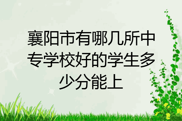 襄阳市有哪几所中专学校好的学生多少分能上
