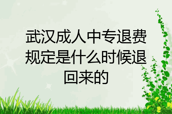 武汉成人中专退费规定是什么时候退回来的