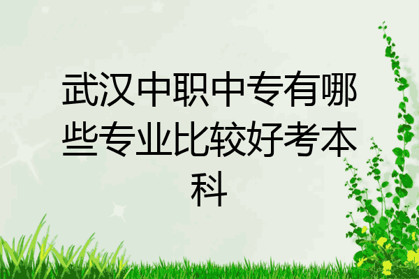武汉中职中专有哪些专业比较好考本科