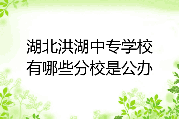 湖北洪湖中专学校有哪些分校是公办