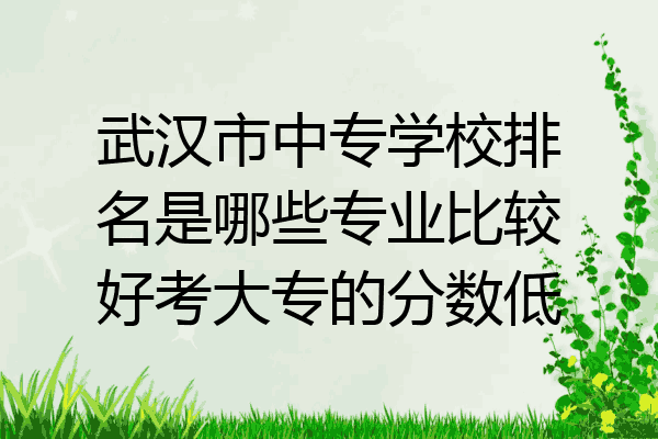 武汉市中专学校排名是哪些专业比较好考大专的分数低