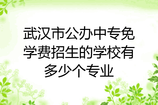 武汉市公办中专免学费招生的学校有多少个专业
