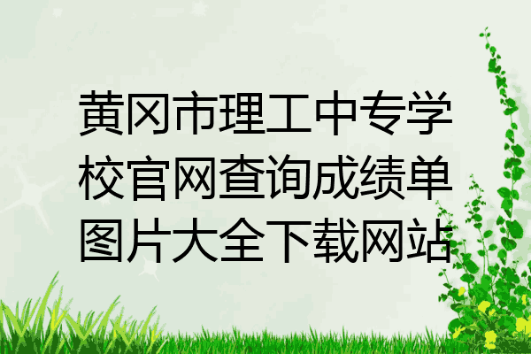黄冈市理工中专学校官网查询成绩单图片大全下载网站