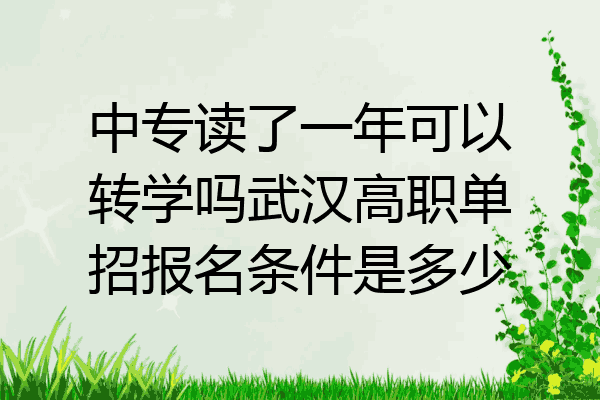 中专读了一年可以转学吗武汉高职单招报名条件是多少