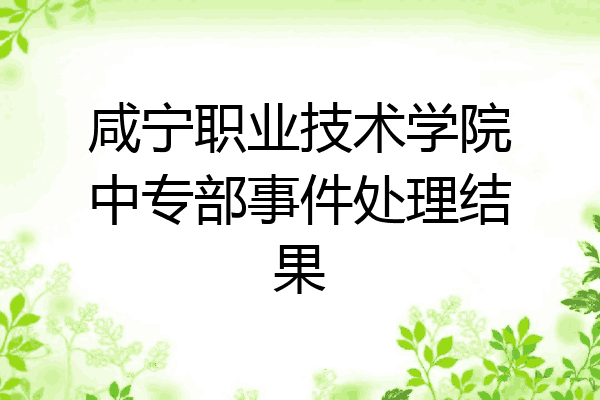 咸宁职业技术学院中专部事件处理结果