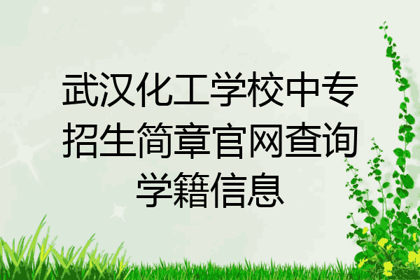 武汉化工学校中专招生简章官网查询学籍信息