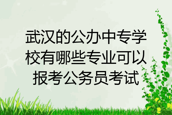 武汉的公办中专学校有哪些专业可以报考公务员考试
