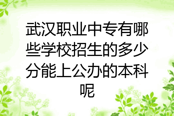 武汉职业中专有哪些学校招生的多少分能上公办的本科呢