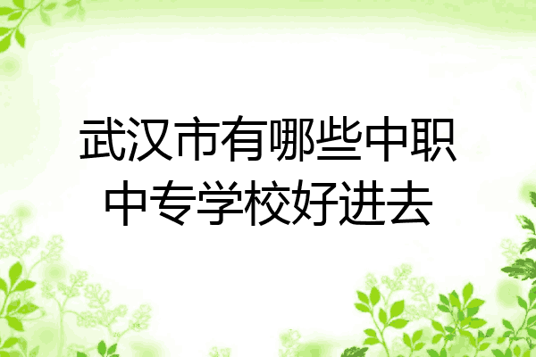 武汉市有哪些中职中专学校好进去