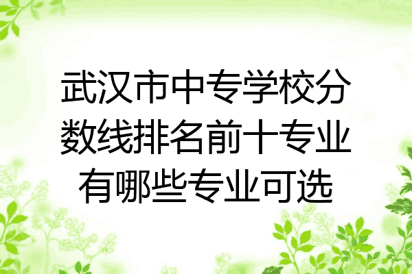 武汉市中专学校分数线排名前十专业有哪些专业可选