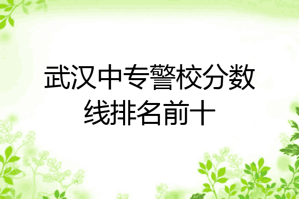 武汉中专警校分数线排名前十