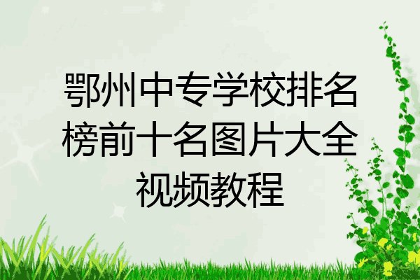 鄂州中专学校排名榜前十名图片大全视频教程