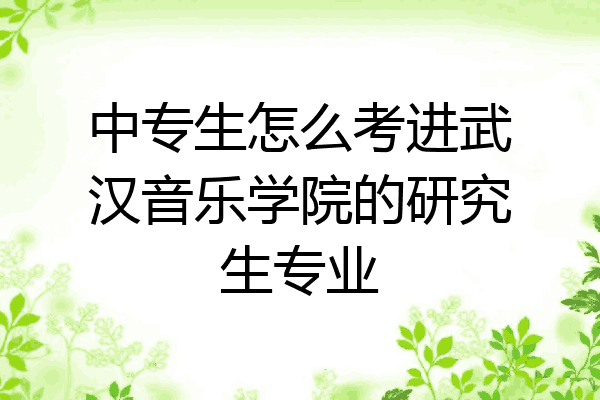 中专生怎么考进武汉音乐学院的研究生专业