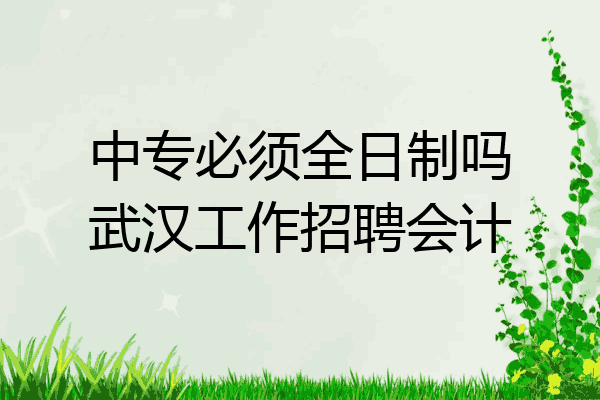 中专必须全日制吗武汉工作招聘会计