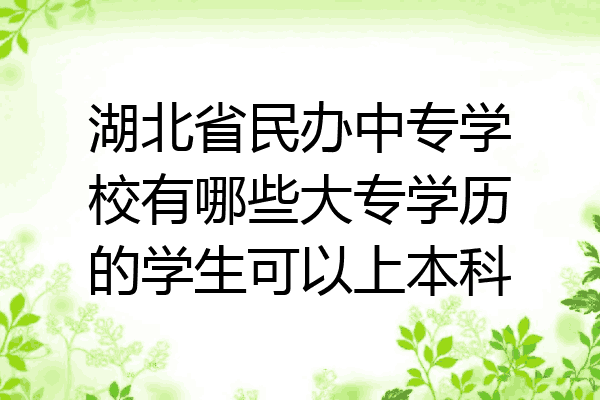 湖北省民办中专学校有哪些大专学历的学生可以上本科