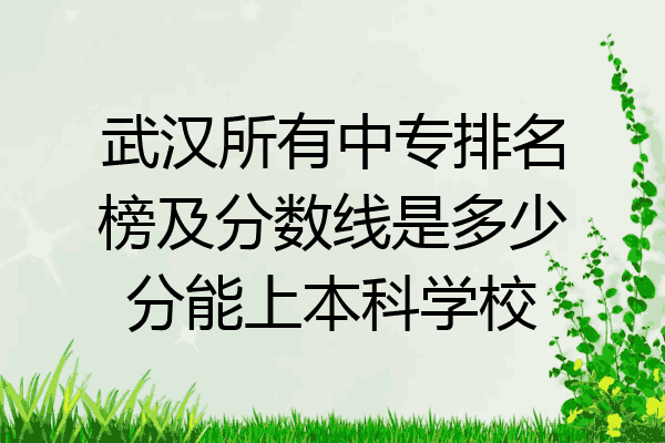 武汉所有中专排名榜及分数线是多少分能上本科学校