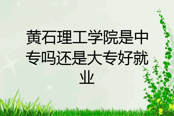 黄石理工学院是中专吗还是大专好就业