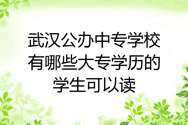武汉公办中专学校有哪些大专学历的学生可以读