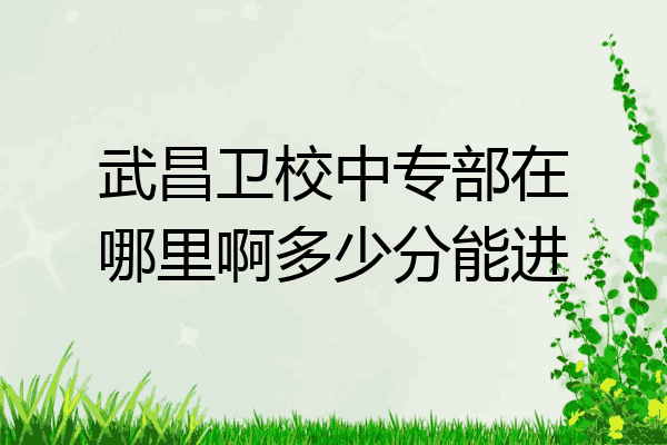 武昌卫校中专部在哪里啊多少分能进