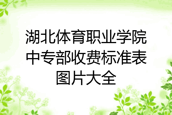 湖北体育职业学院中专部收费标准表图片大全