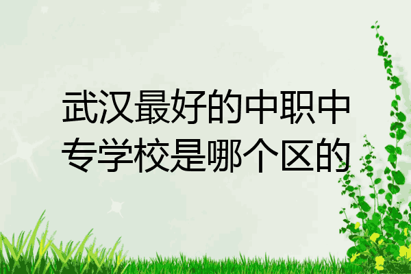 武汉最好的中职中专学校是哪个区的