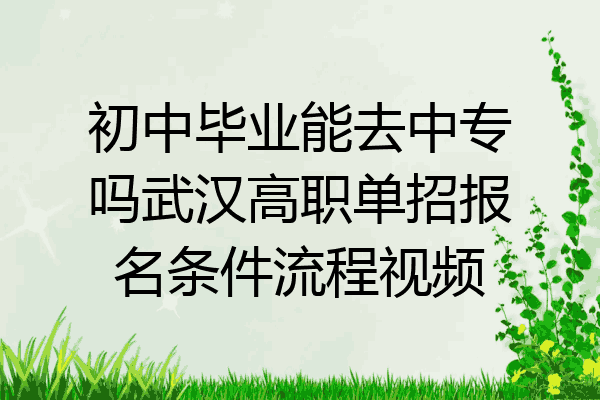 初中毕业能去中专吗武汉高职单招报名条件流程视频