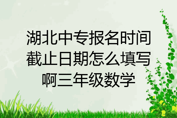 湖北中专报名时间截止日期怎么填写啊三年级数学