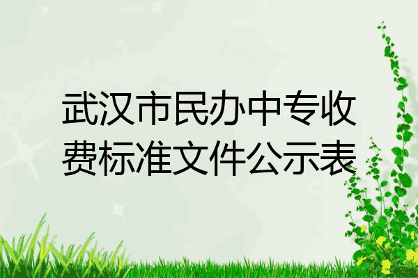 武汉市民办中专收费标准文件公示表