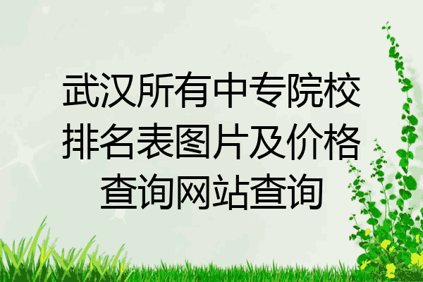 武汉所有中专院校排名表图片及价格查询网站查询
