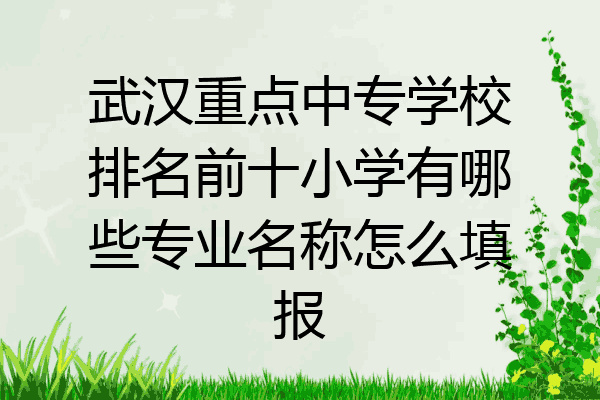 武汉重点中专学校排名前十小学有哪些专业名称怎么填报