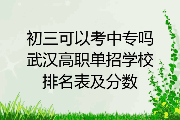 初三可以考中专吗武汉高职单招学校排名表及分数