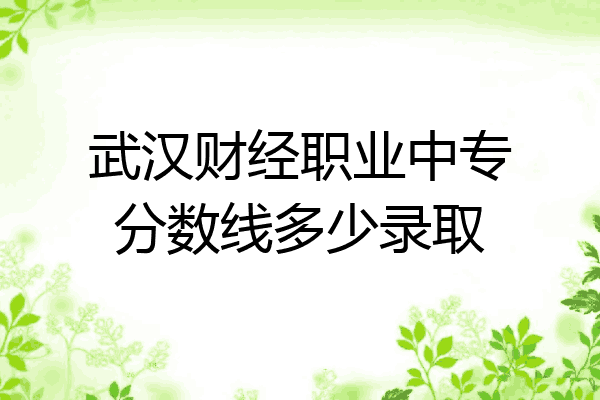 武汉财经职业中专分数线多少录取