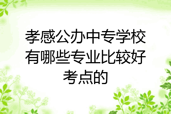 孝感公办中专学校有哪些专业比较好考点的
