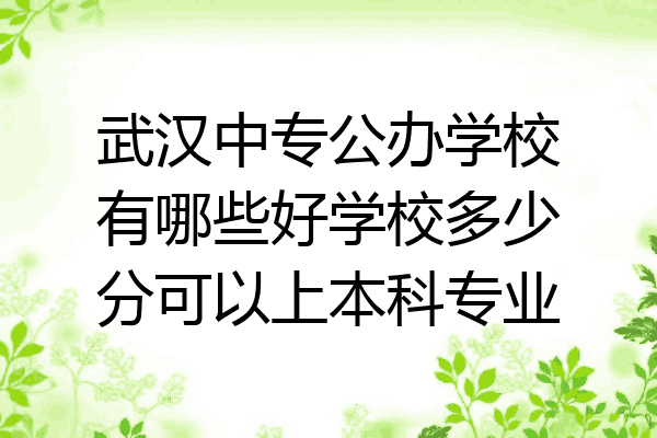 武汉中专公办学校有哪些好学校多少分可以上本科专业