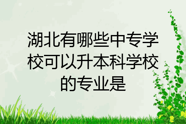 湖北有哪些中专学校可以升本科学校的专业是