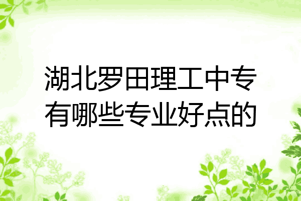 湖北罗田理工中专有哪些专业好点的