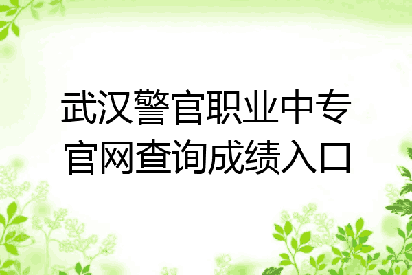 武汉警官职业中专官网查询成绩入口