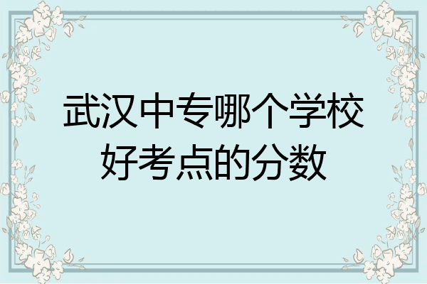 武汉中专哪个学校好考点的分数