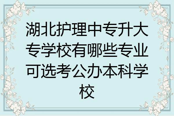 湖北护理中专升大专学校有哪些专业可选考公办本科学校