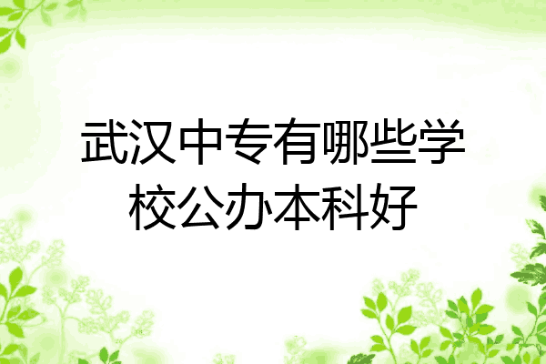 武汉中专有哪些学校公办本科好