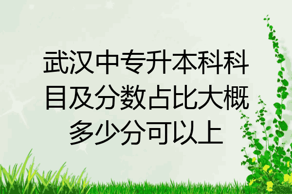 武汉中专升本科科目及分数占比大概多少分可以上