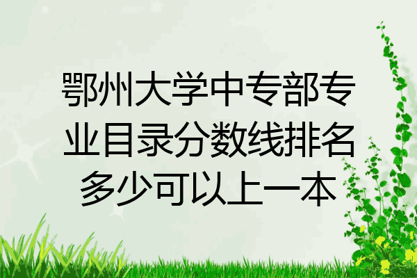 鄂州大学中专部专业目录分数线排名多少可以上一本
