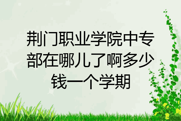 荆门职业学院中专部在哪儿了啊多少钱一个学期