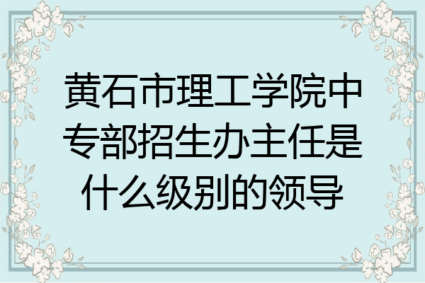 黄石市理工学院中专部招生办主任是什么级别的领导