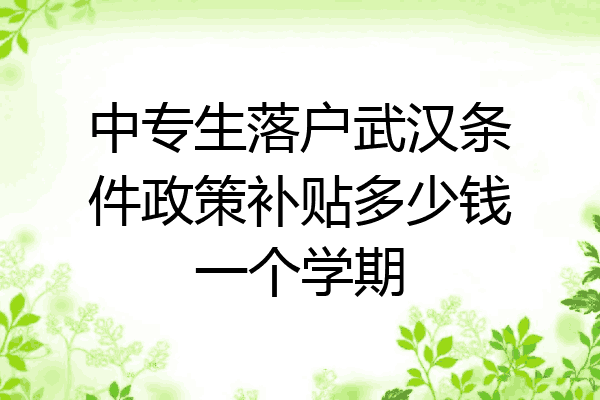 中专生落户武汉条件政策补贴多少钱一个学期