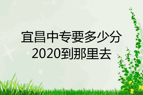 宜昌中专要多少分2020到那里去