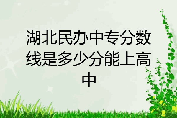 湖北民办中专分数线是多少分能上高中