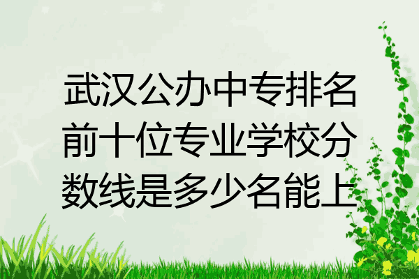武汉公办中专排名前十位专业学校分数线是多少名能上
